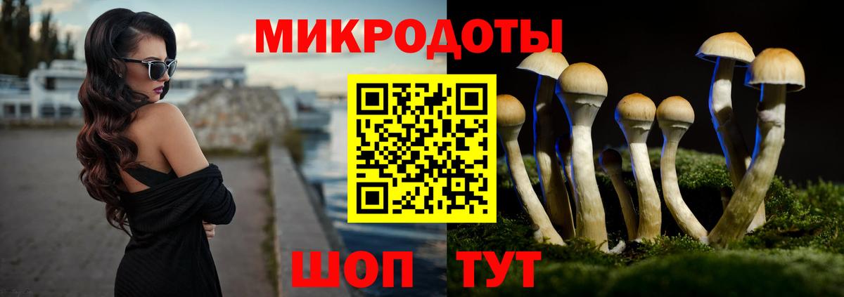 Приморско-Ахтарск  Псилоцибиновые грибы GOLDEN TEACHER  купить наркотик  Вход с VPN 
